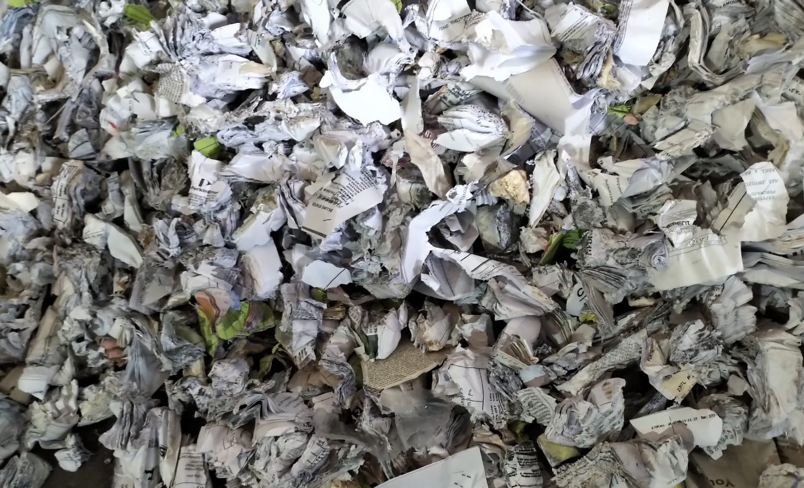 Document Shredding in Singapore: Why Is It Important?